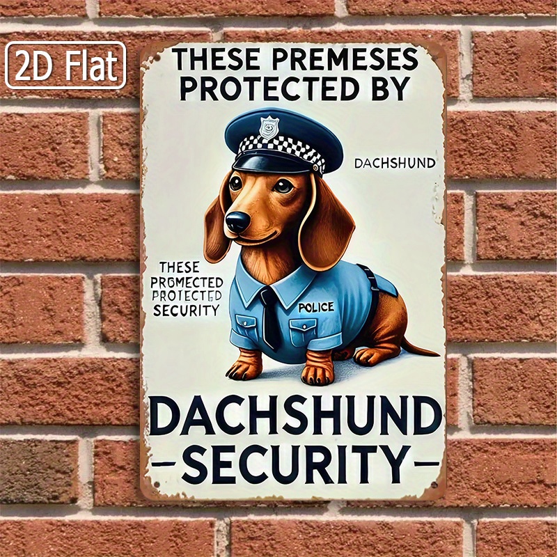 2D Düz, [2D Düz] 1 Parça Eğlen - Home Security Usa incelemesi ve fiyatı