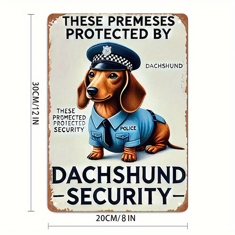 2D Düz, [2D Düz] 1 Parça Eğlen - Home Security Usa incelemesi ve fiyatı