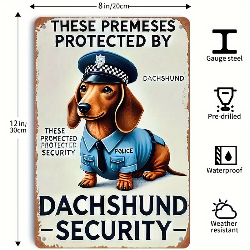 2D Düz, [2D Düz] 1 Parça Eğlen - Home Security Usa incelemesi ve fiyatı
